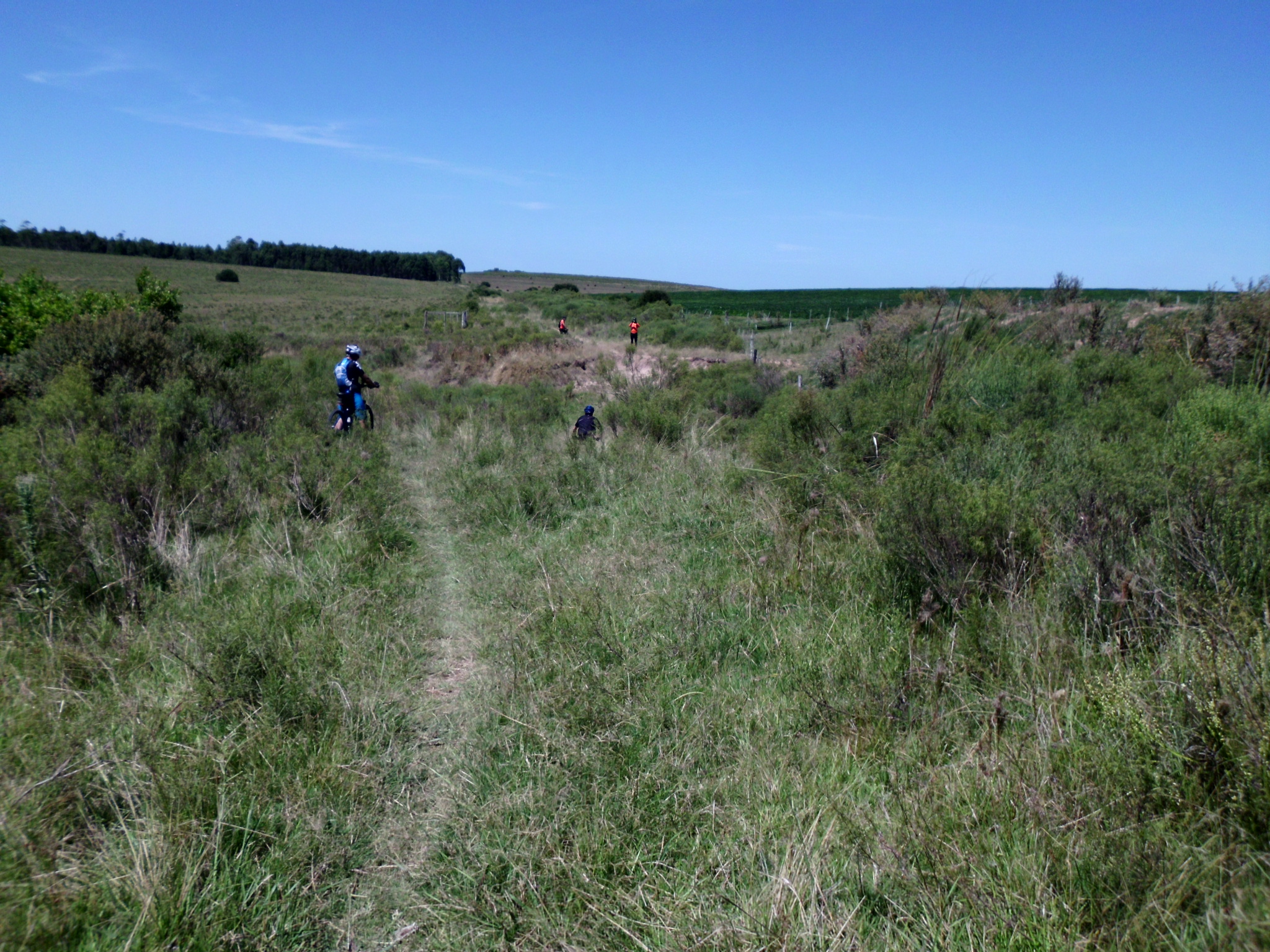 MTB 07_02_15 037