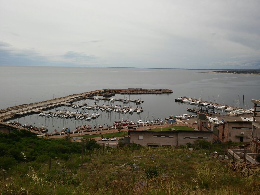 WhatsApp Image 2017-01-16 At 17.02.56