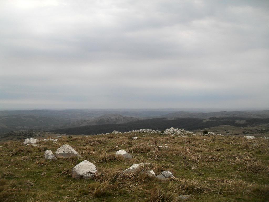 SDC19283.jpg