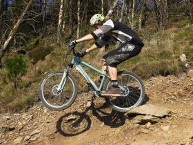 hammeringht_rockdropbasic-280-75.jpg