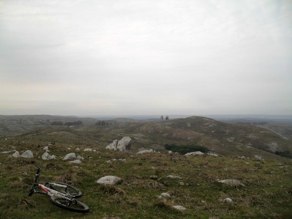 SDC19286.jpg
