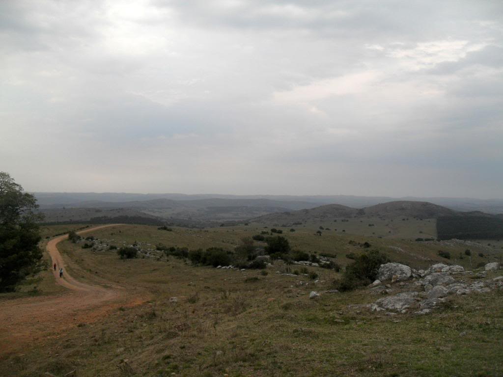 SDC19300.jpg