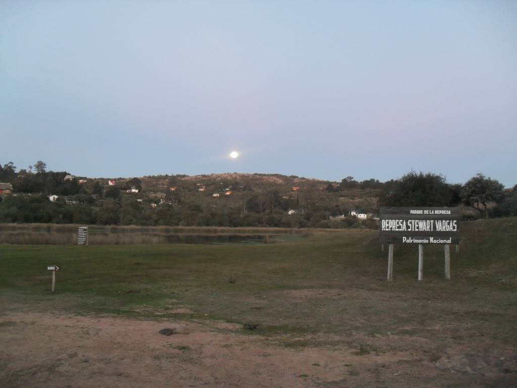 SDC19462.jpg