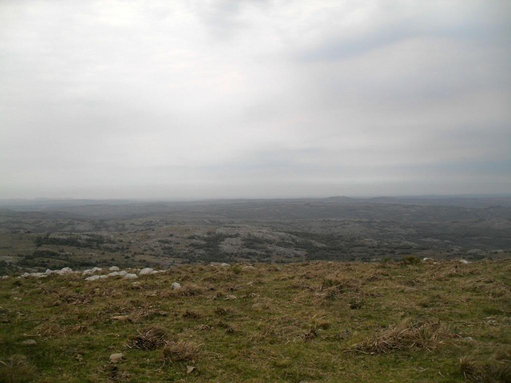 SDC19281.jpg