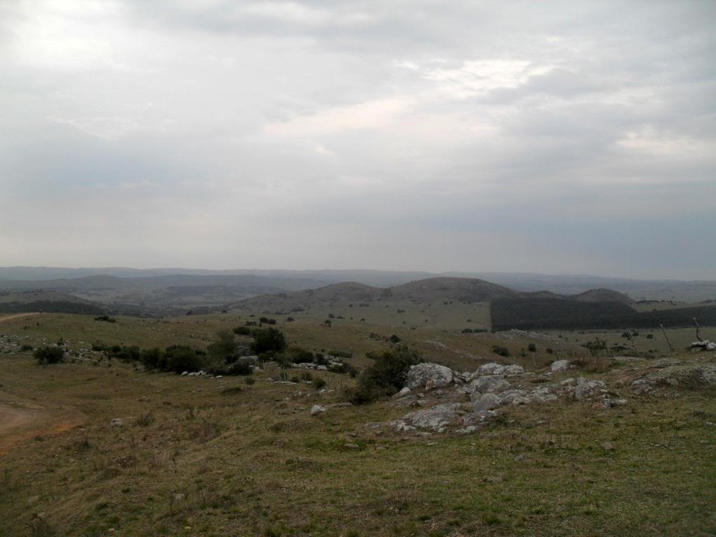 SDC19302.jpg