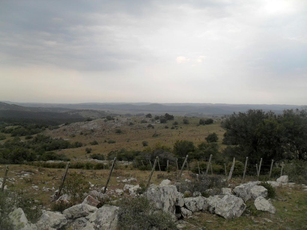 SDC19299.jpg